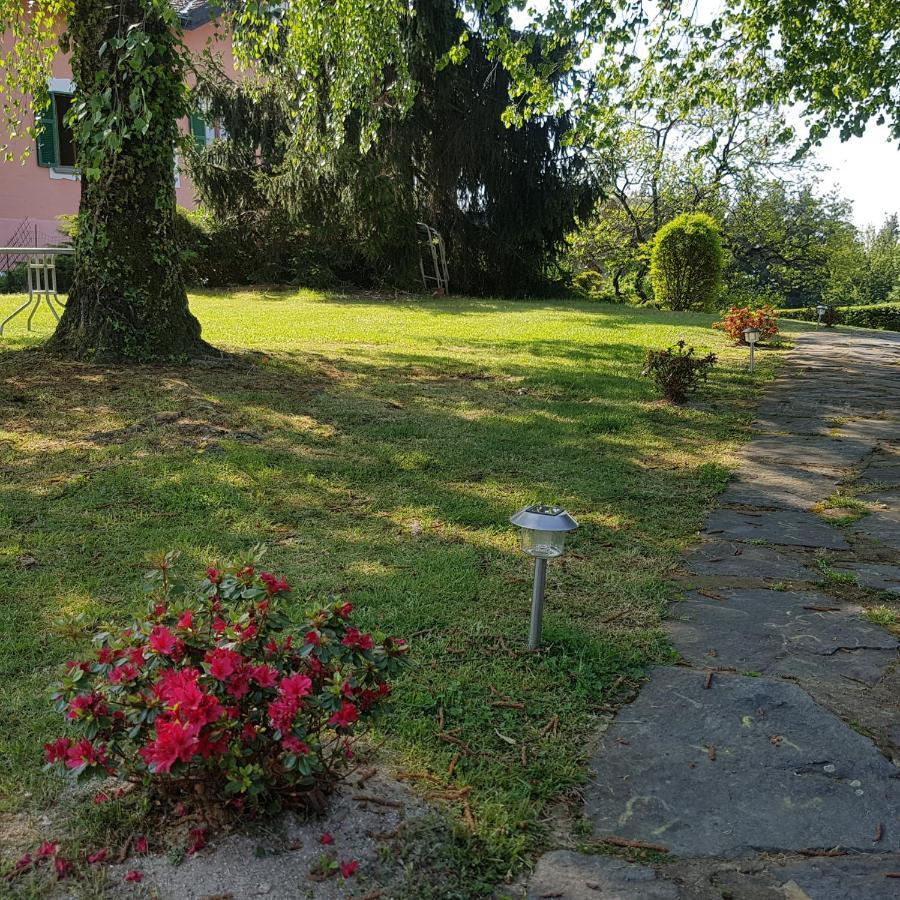 Villa Le Vignole Ameno Bagian luar foto
