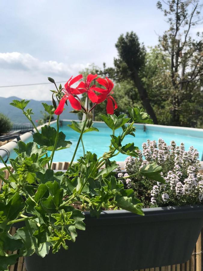 Villa Le Vignole Ameno Bagian luar foto